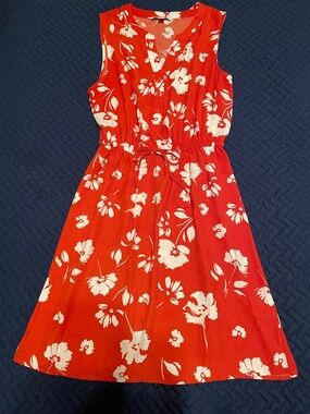 41Hawthorn dress
